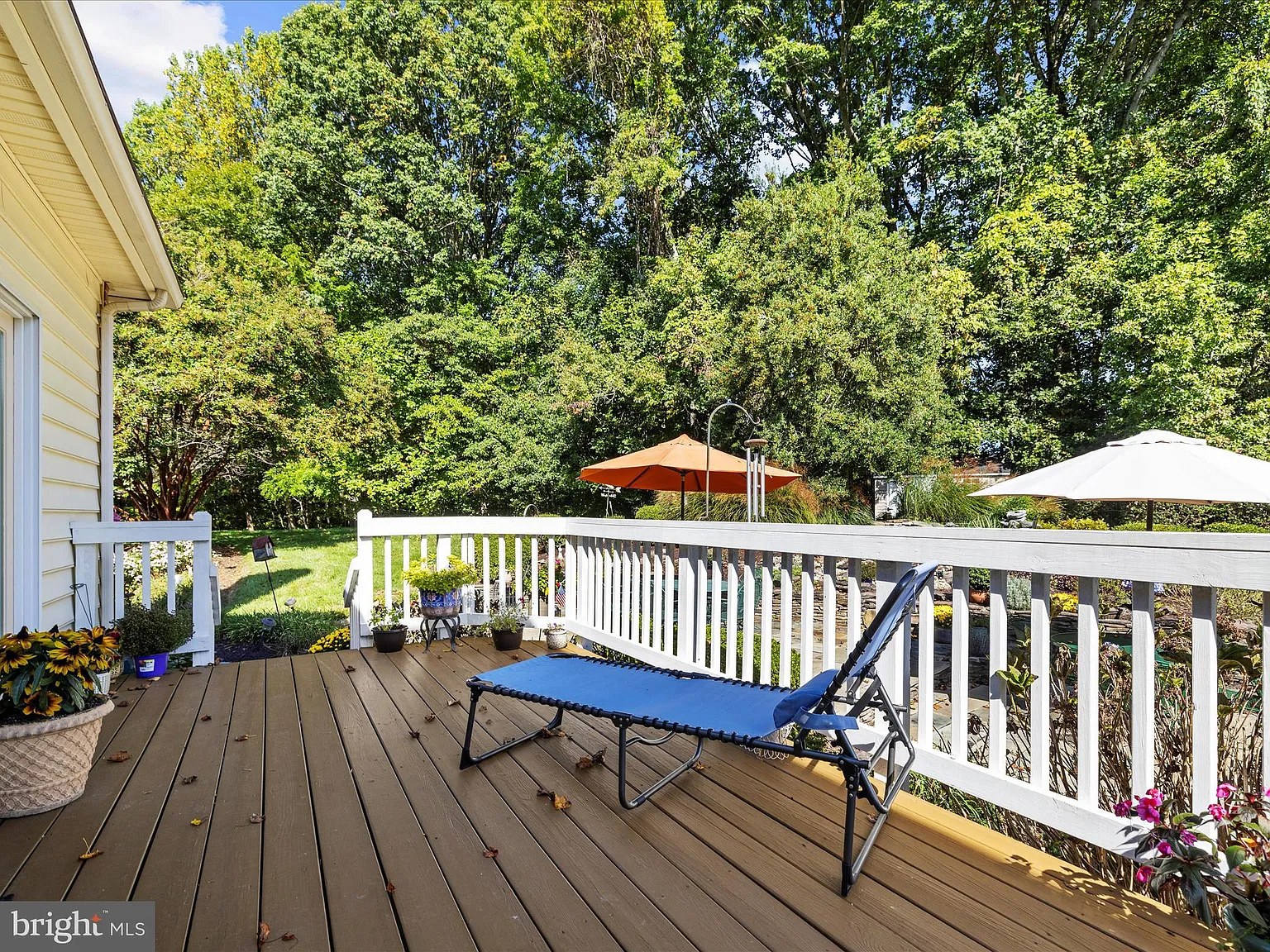 114 Jordan Taylor Ln -48