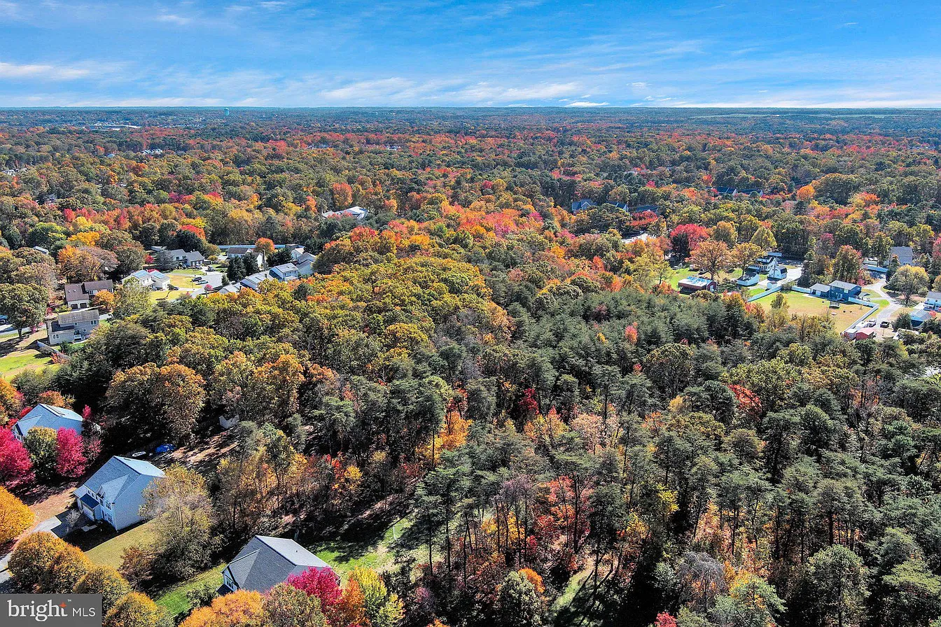 7711 Phelps Farm Ln-5